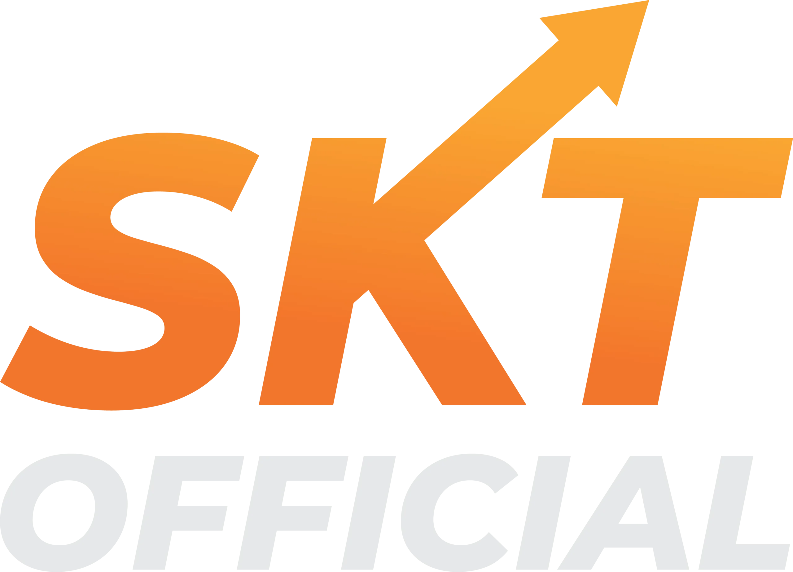 skt official logo white